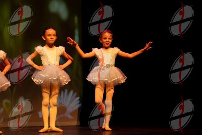 SHOW_01998.jpg